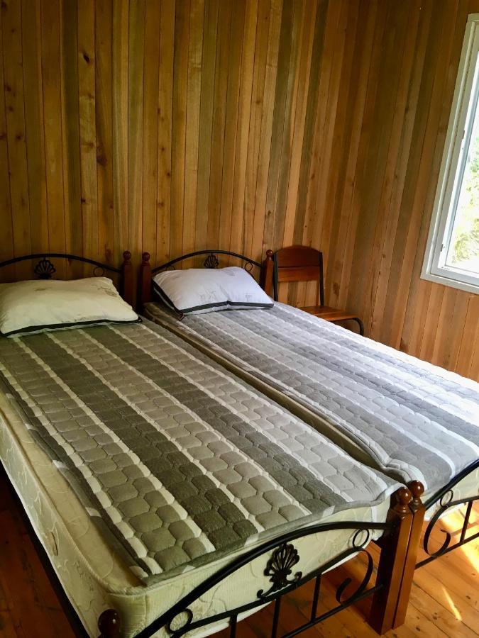 House In Gonio-Kvariati Economy Class Dış mekan fotoğraf